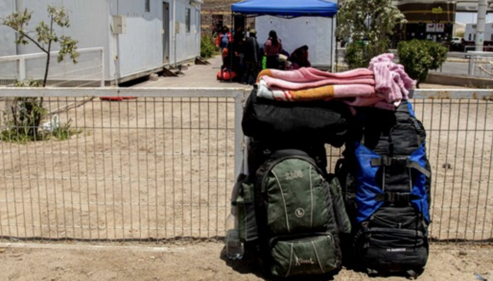 migrantes