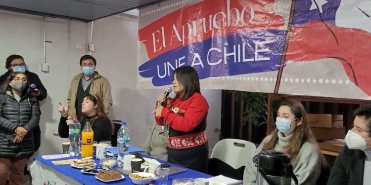 Critica de Pancho Orrego hacia Elisa Loncon