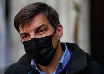 Stingo: «Si gana el Apruebo seremos como un país de Europa»