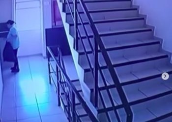 (VIDEO) Mujer lanzó perrito por ducto para que muriera