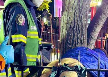 Sujeto intentó robar y quedó ensartado en una reja en la comuna de Vitacura