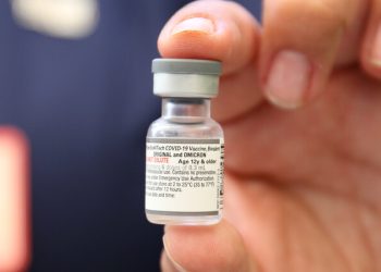 Covid 19: Chile se prepara para la nueva variante ‘Perro del Infierno’