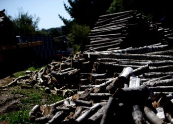 Robo de madera en la Macrozona Sur