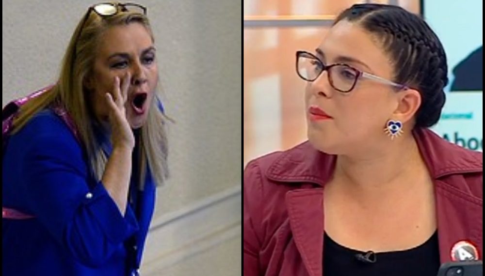 Pamela Jiles y Karol Cariola a los gritos en el Congreso