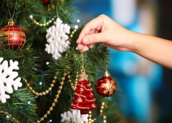 Diputado presenta proyecto de ley para declarar feriado el próximo 26 de diciembre