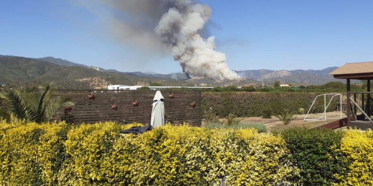 El incendio forestal de Quilpué está muy cerca de casas