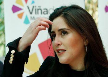 alcaldesa ripamonti incendio viña