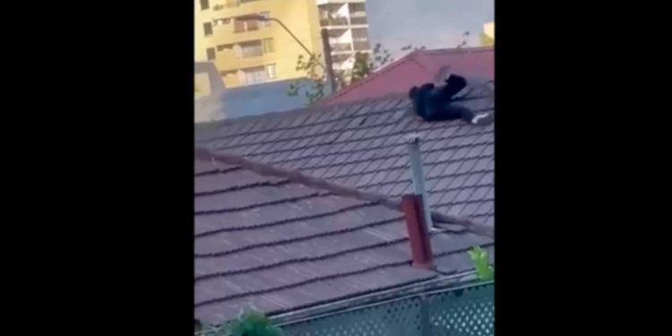 Venezolano es pillado robando y trató de arrancar por los techos: Vecinos graban final de la historia