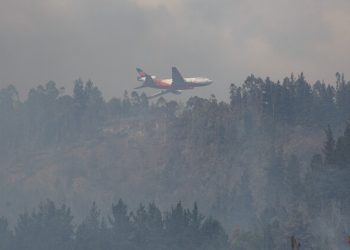 Definitivo: Conaf certifica que 41% de incendios en Araucanía y Biobío son intencionales