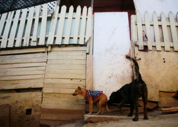 Cantidad de campamentos en Chile creció más de un tercio en dos años según catastro Techo