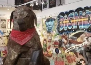 Matthei, Carter y Kast califican como «oda a la violencia» el museo del Estallido Social