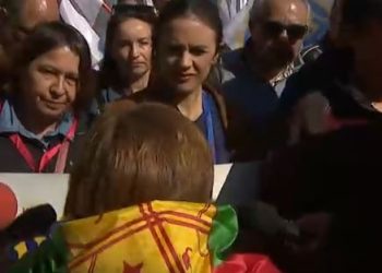 Camila Vallejo Increapda