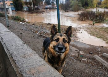 Temporal inundaciones