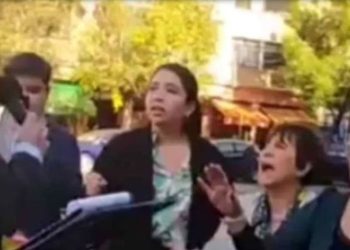 Diputada detalló cómo fueron los insultos del Pastor Soto
