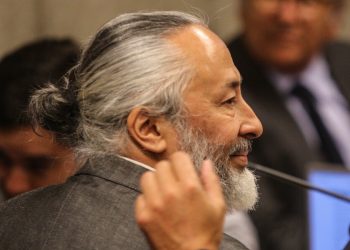 vivía Tonka Tomicic y Parived