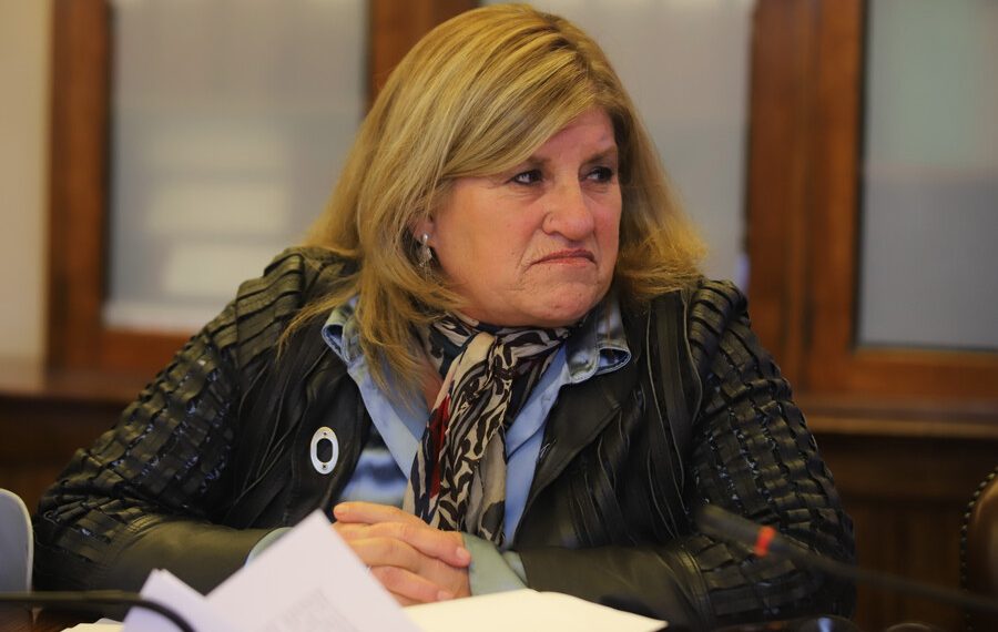 diputada Gloria Naveillán generó controversia