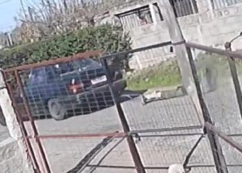 Delincuente arrastrado