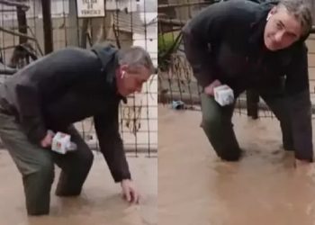 José Luis Repenning recibió crítica