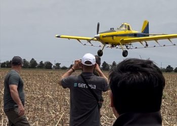 Fearca y Grupo APC: El control aéreo es la herramienta más eficaz para el control de langostas