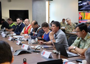 Ministra Tohá confirmó 19 fallecidos por incendios forestales en Viña del Mar