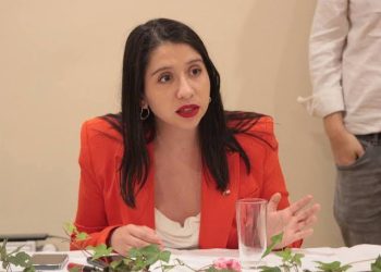 El mea culpa de diputada detenida por conducir en estado de ebriedad