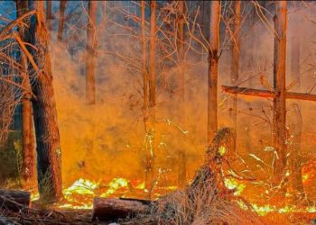 Registro revela dramático escape de familia por incendio en Biobío