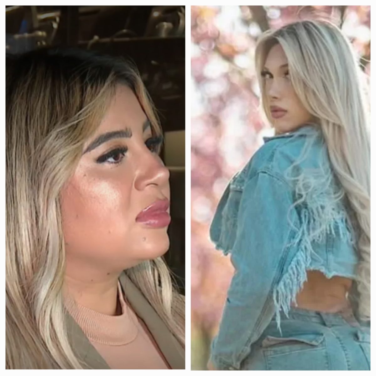 Profesora de Carahue se lanzó con todo contra modelo trans vinculada a Fabricio