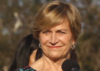 «Ejército de bots»: Matthei bajó perfil a la denuncia y llamó a mirar adelante