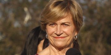 «Ejército de bots»: Matthei bajó perfil a la denuncia y llamó a mirar adelante