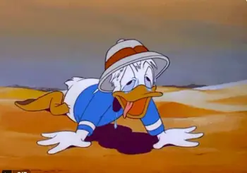 Pronóstico anticipa temperaturas extremas que podrían superar los 34°C en la capital