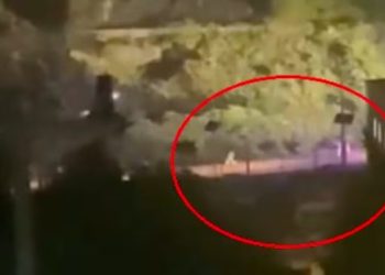 Intento de incendio en plena catástrofe: graban a sujetos tratando de prender fuego cerca de planta eléctrica en Penco