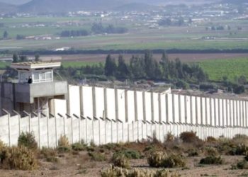 Canibalismo en La Serena: interno confiesa brutal mutilación — “Le quité un ojo y me lo comí”