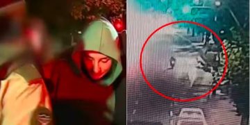 Revelan el video del choque de Fran Maira: imágenes crudas y testimonios que complican su versión