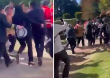 Violento ataque a ministra de Ciencias en Valdivia: manifestantes la rodean, la insultan y obligan a evacuarla corriendo