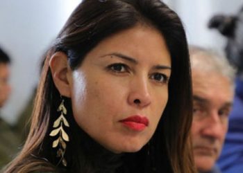 Karen Rojo vuelve a Chile escoltada por la PDI: comienza la cuenta regresiva para cumplir su condena por fraude al Fisco