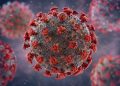 Virus Hanta: los primeros síntomas que muchos confunden con una gripe y que pueden poner en riesgo la vida