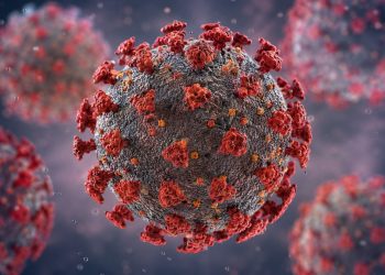 Virus Hanta: los primeros síntomas que muchos confunden con una gripe y que pueden poner en riesgo la vida