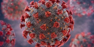 Virus Hanta: los primeros síntomas que muchos confunden con una gripe y que pueden poner en riesgo la vida
