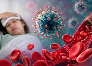 Presunto caso de fiebre hemorrágica en el Biobío: qué es y cómo se contagia