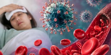 Presunto caso de fiebre hemorrágica en el Biobío: qué es y cómo se contagia