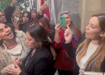 feriantes responden a insultos de camila flores