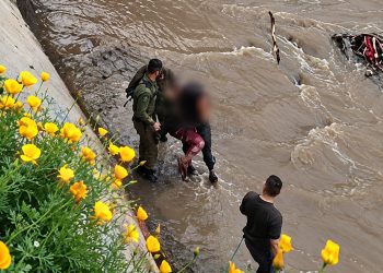 recatan a mujer canal san carlos