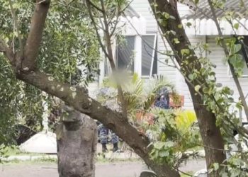 Rapa Nui: amiga encontró en shock a joven que denunció violación grupal y la rescató de madrugada