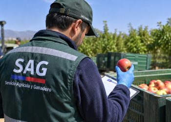Corte confirma despido de trabajador del SAG por regalar un juguete sexual a una compañera: la justicia descartó que fuera una simple broma